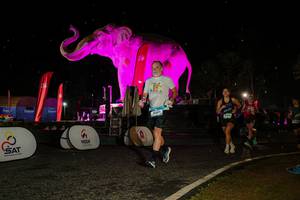 BIB: 
                            <button type="button" onclick="openModal(26534823)" class="btn btn-primary btn-sm float-right btn-popup" data-toggle="modal" data-target=".modal-high-quality">
                        <i class="fas fa-shopping-cart"></i> Add to Cart
                    </button>
                                            <button type="button" onclick="isThisMe(26534823, true)" class="btn btn-success btn-sm float-right btn-popup btn-isme hidden" data-toggle="tooltip" data-placement="bottom" title="นี่คือรูปของคุณใช่ไหม คลิกที่นี่เพื่อเอาเข้าอัลบั้ม">
                        <i class="fas fa-plus"></i> Add to album
                    </button>
                    <button type="button" onclick="isThisMe(26534823, false)" class="btn btn-warning btn-sm float-right btn-popup btn-isnotme hidden">
                        <i class="fas fa-ban"></i> Remove from album
                    </button>